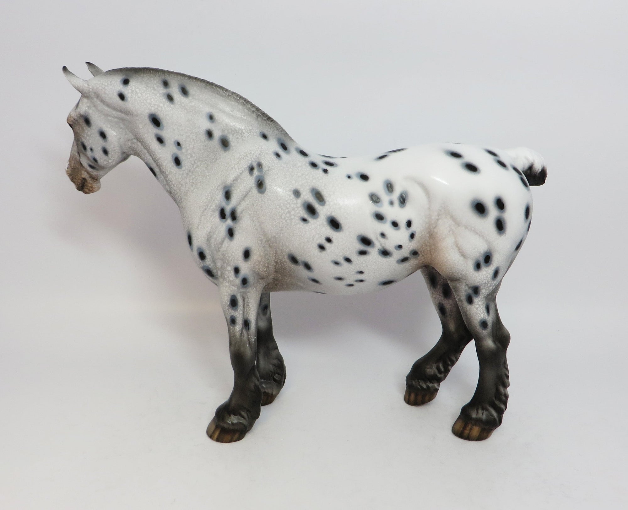 LADY A-OOAK LOUD APPALOOSA HEAVY DRAFT MARE MODEL HORSE BY DAWN QUICK 12/27/17