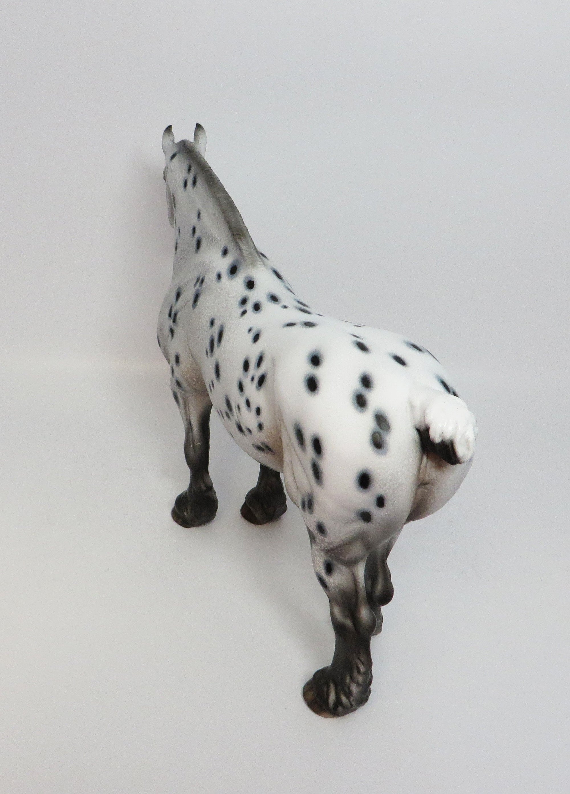 LADY A-OOAK LOUD APPALOOSA HEAVY DRAFT MARE MODEL HORSE BY DAWN QUICK 12/27/17