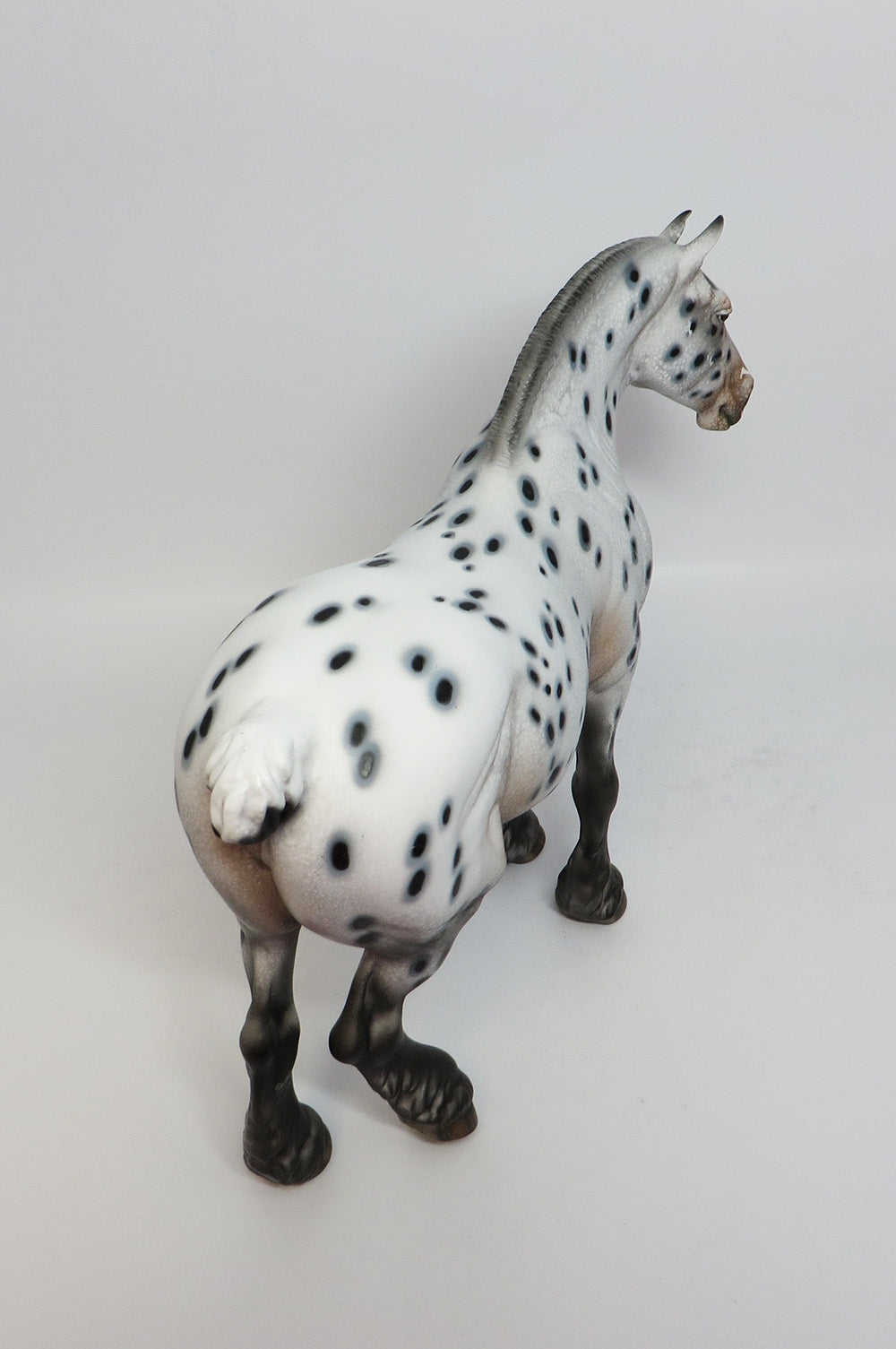 LADY A-OOAK LOUD APPALOOSA HEAVY DRAFT MARE MODEL HORSE BY DAWN QUICK 12/27/17