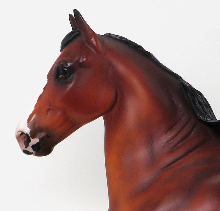 REMEMBRANCE - BAY PAINT TROTTING DRAFTER 9/11