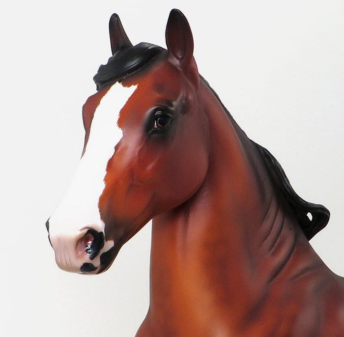 REMEMBRANCE - BAY PAINT TROTTING DRAFTER 9/11