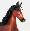 REMEMBRANCE - BAY PAINT TROTTING DRAFTER 9/11