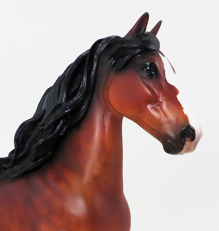 REMEMBRANCE - BAY PAINT TROTTING DRAFTER 9/11