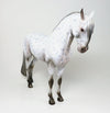 ANDALUSIAN