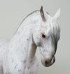 ANDALUSIAN 