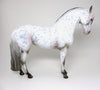 Appaloosa Andalusian 