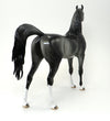 DAPPLE GREY ARABIAN