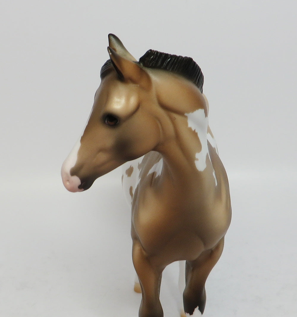ROCKET-LE-5 BUCKSKIN PAINT WEANLING MODEL HORSE 12/26/17