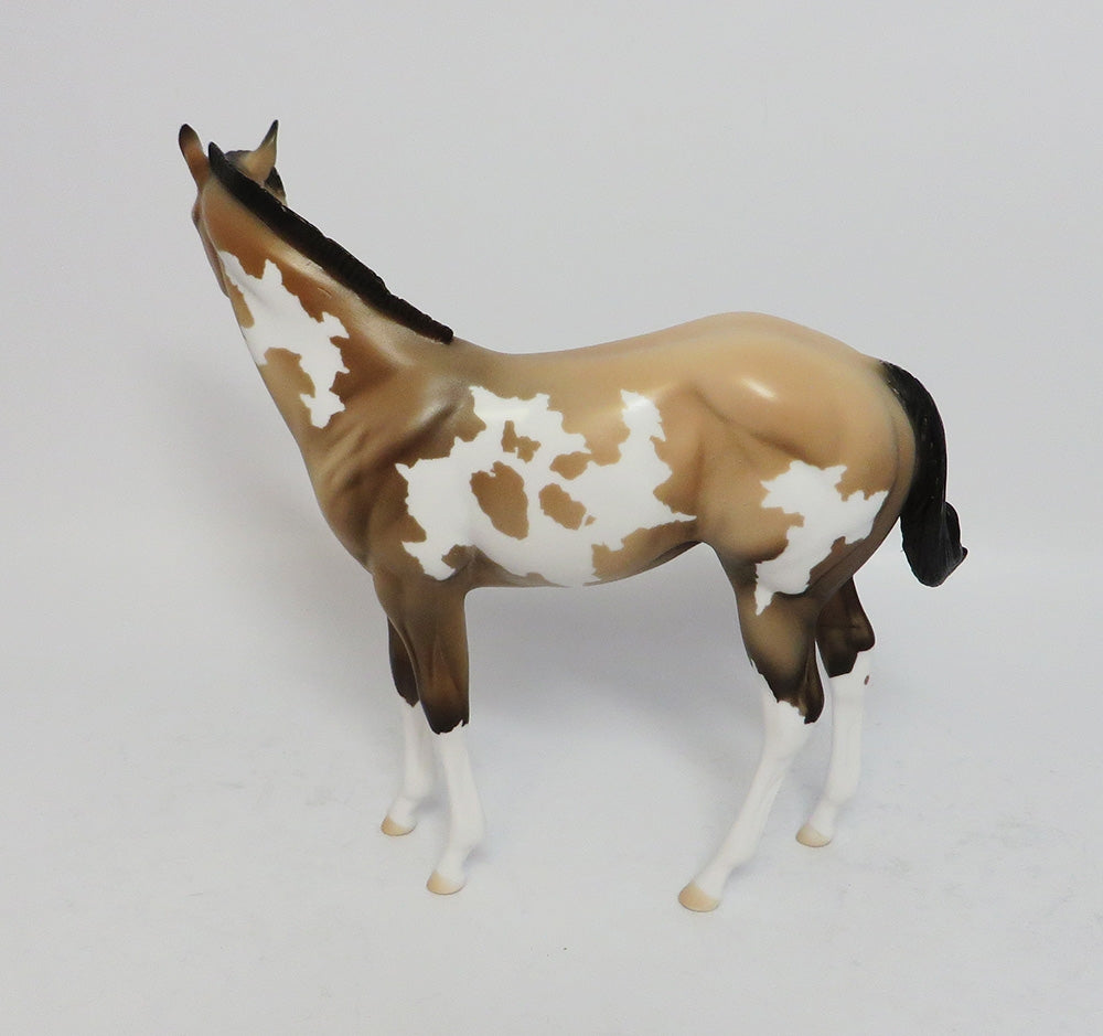 ROCKET-LE-5 BUCKSKIN PAINT WEANLING MODEL HORSE 12/26/17