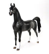 OOAK ARABIAN