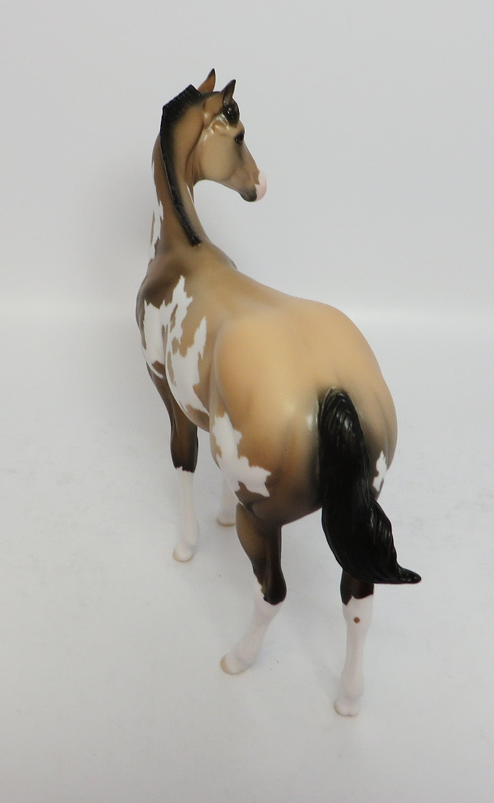 ROCKET-LE-5 BUCKSKIN PAINT WEANLING MODEL HORSE 12/26/17