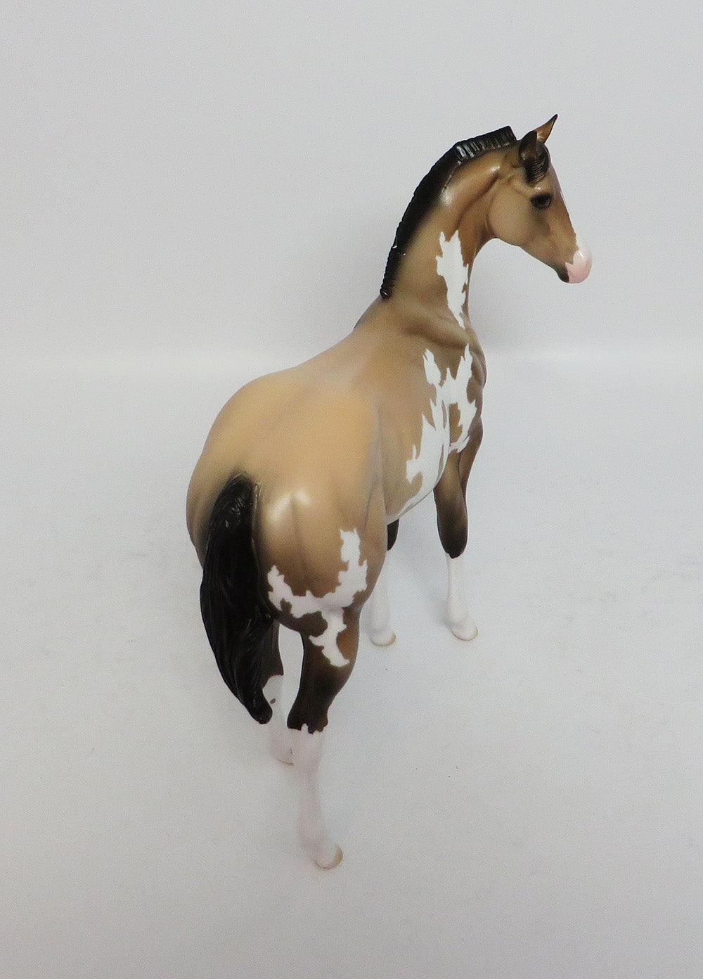 ROCKET-LE-5 BUCKSKIN PAINT WEANLING MODEL HORSE 12/26/17