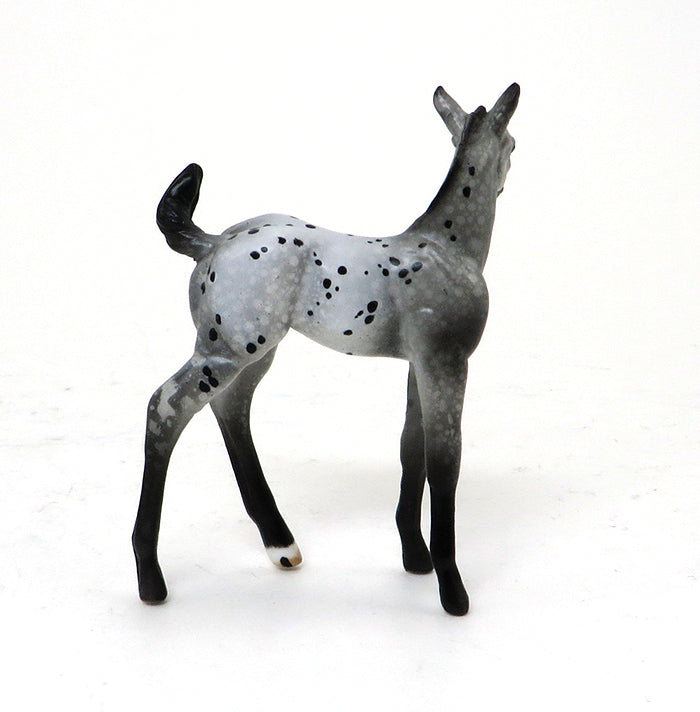 SAY CHEESE - APPALOOSA FOAL MODEL HORSE - THE LITTLE SHOW