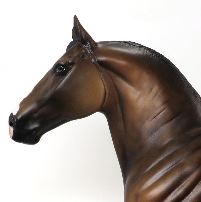 DRAFT MODEL HORSE