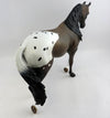 Appaloosa