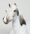 SPANISH MUSTANG