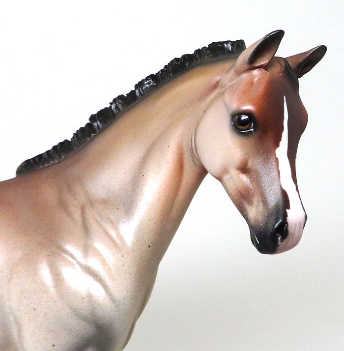 WONDERFUL TONIGHT~OOAK-BAY ROAN WEANLING~MODEL HORSE 12/15