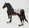 LESTER STAND - OOAK SEAL BAY APPALOOSA DRAFTER - 10/1