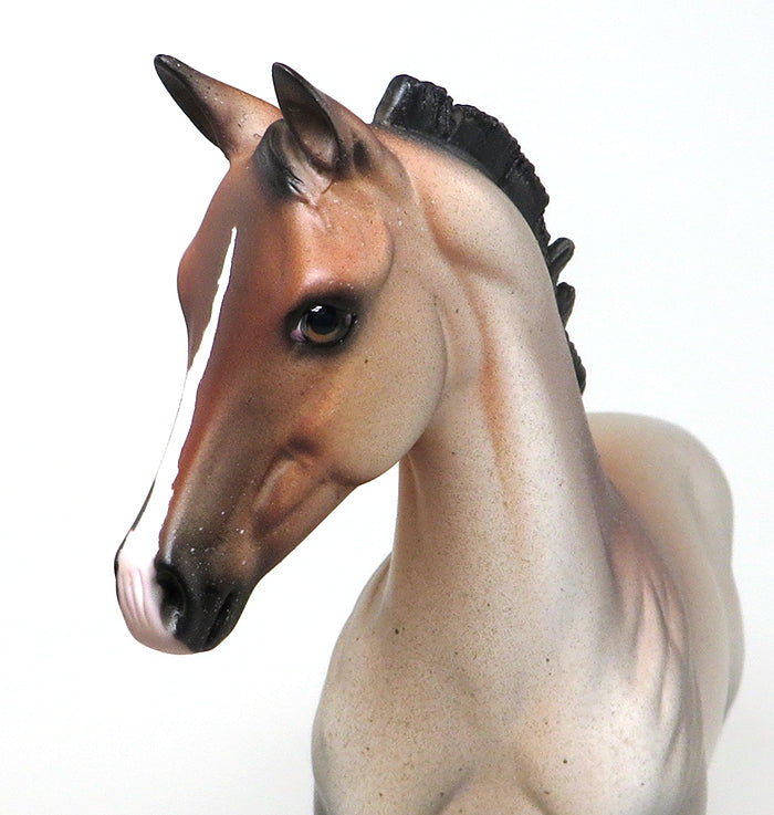 WONDERFUL TONIGHT~OOAK-BAY ROAN WEANLING~MODEL HORSE 12/15