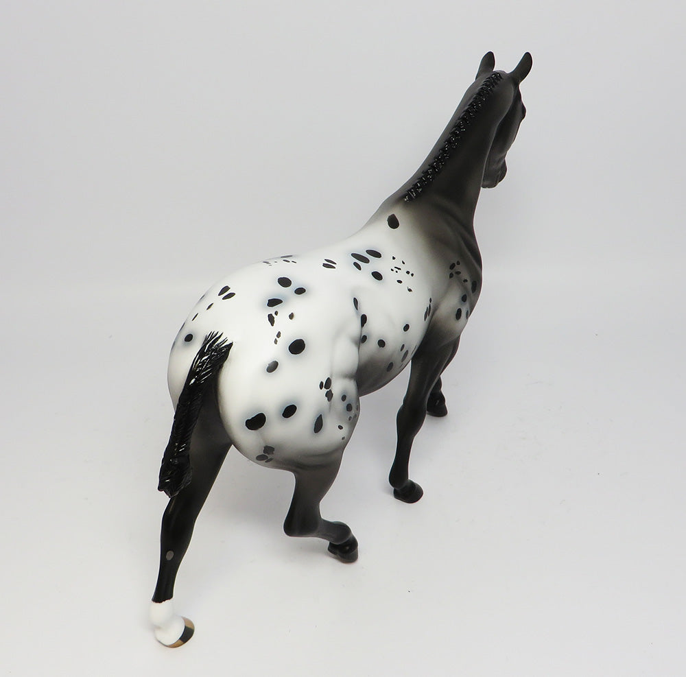 OH SHELBY~OOAK APPALOOSA BRAIDED MANE AND TAIL PONY MODEL HORSE 6/9/17