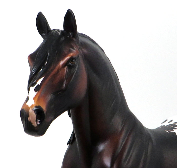 LESTER STAND - OOAK SEAL BAY APPALOOSA DRAFTER - 10/1