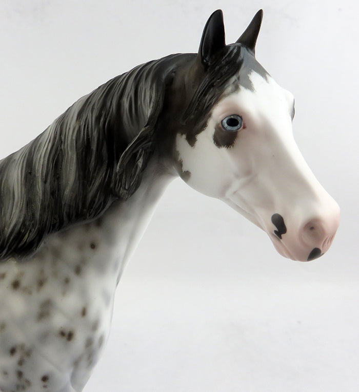 MAXIMUM EXPOSURE-OOAK EXTREME SABINO ISH MODEL HORSE BY SHERYL LEISURE 1/6/17