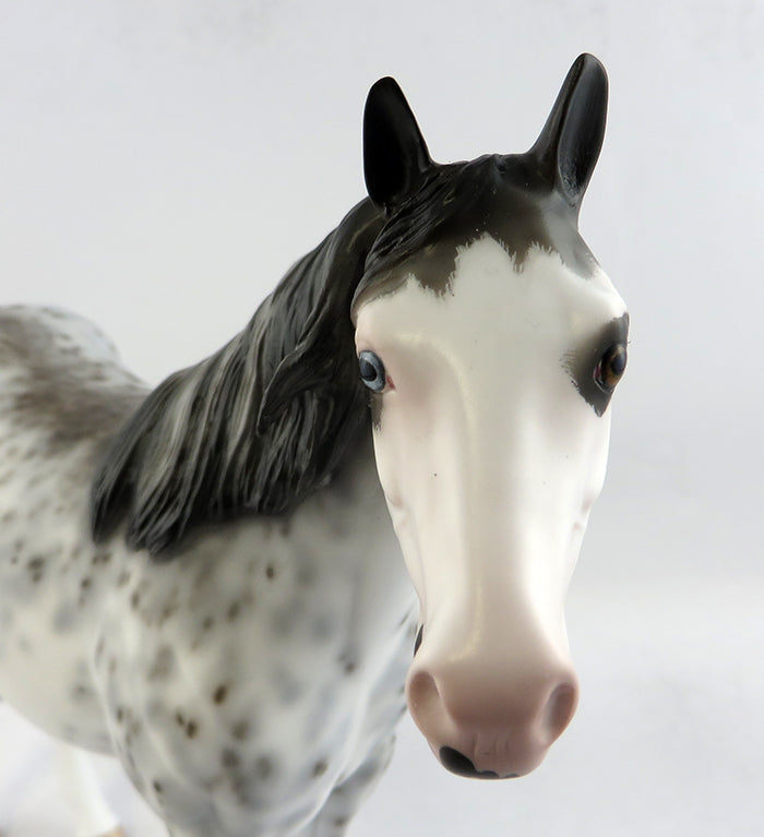 MAXIMUM EXPOSURE-OOAK EXTREME SABINO ISH MODEL HORSE BY SHERYL LEISURE 1/6/17