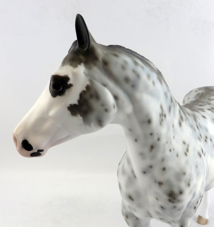 MAXIMUM EXPOSURE-OOAK EXTREME SABINO ISH MODEL HORSE BY SHERYL LEISURE 1/6/17