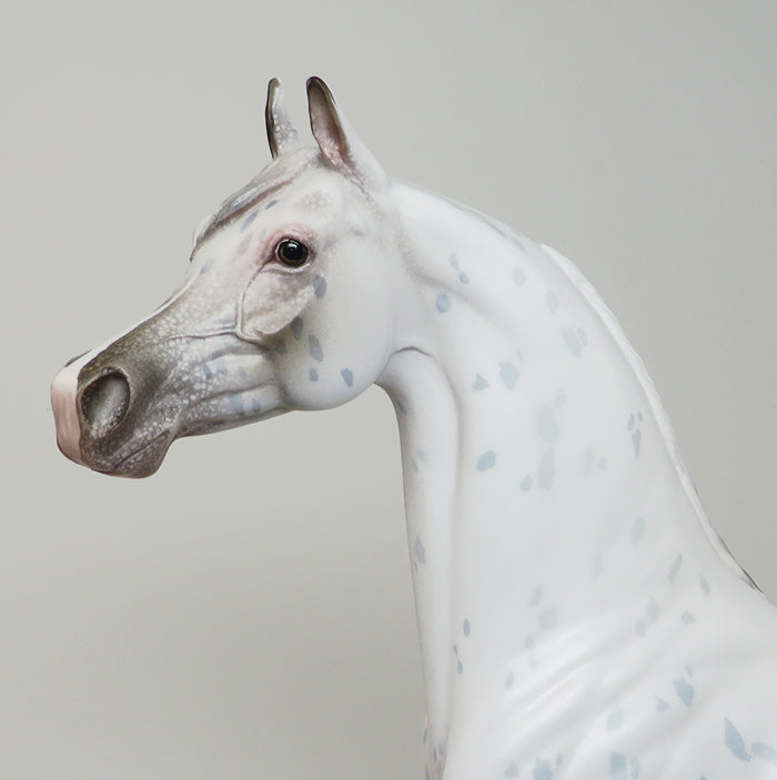 APPALOOSA 