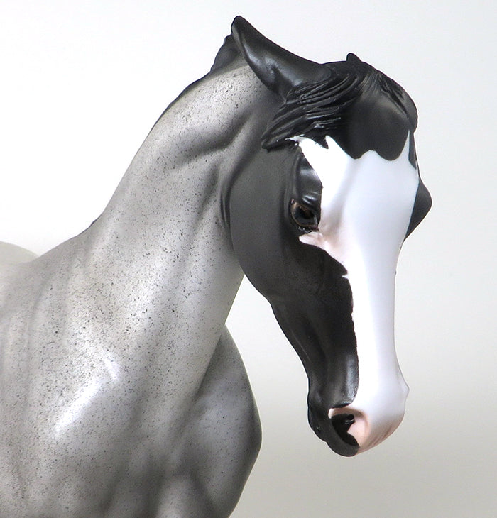 BLUE BAYOU~OOAK-BLUE ROAN PINNED EAR THOROUGHBRED MODEL HORSE 12/16