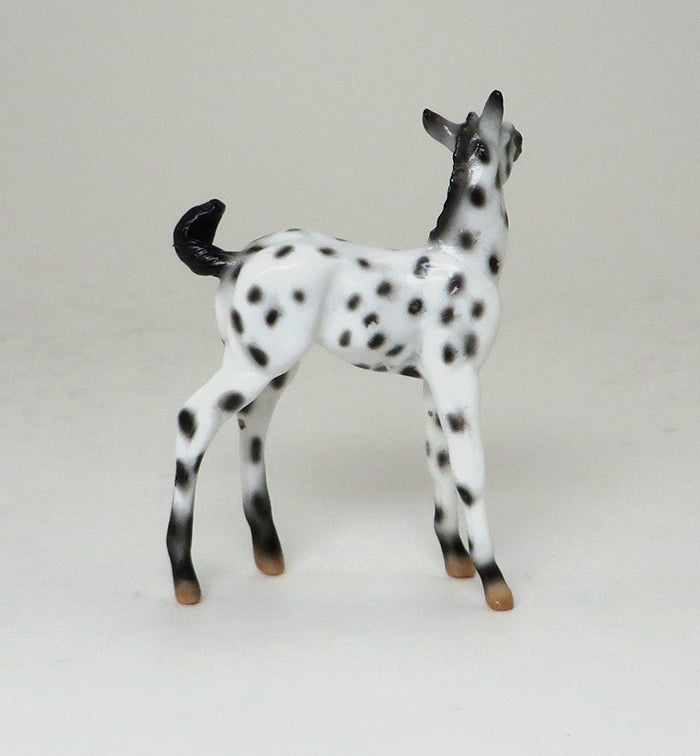 OOAK APPALOOSA