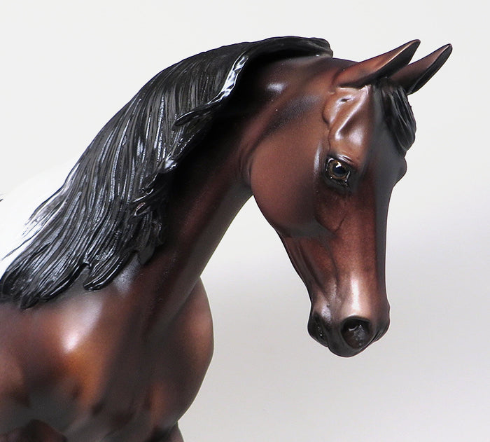 MORE THAN READY-OOAK BAY APPALOOSA THOROUGHBRED MODEL HORSE 12/16
