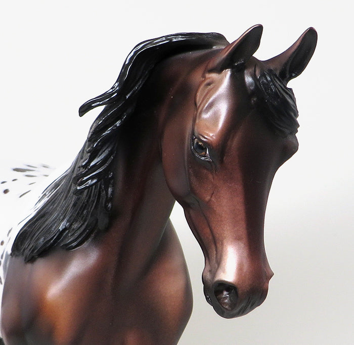 MORE THAN READY-OOAK BAY APPALOOSA THOROUGHBRED MODEL HORSE 12/16