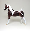 CHESTNUT PINTO