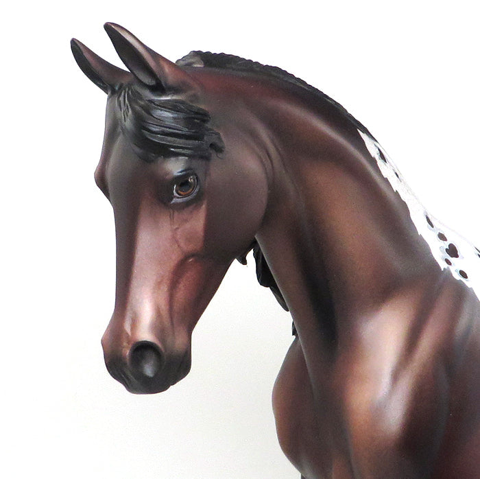 MORE THAN READY-OOAK BAY APPALOOSA THOROUGHBRED MODEL HORSE 12/16