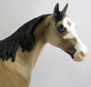 BUCKSKIN