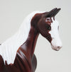 CHESTNUT PINTO SADDLEBRED
