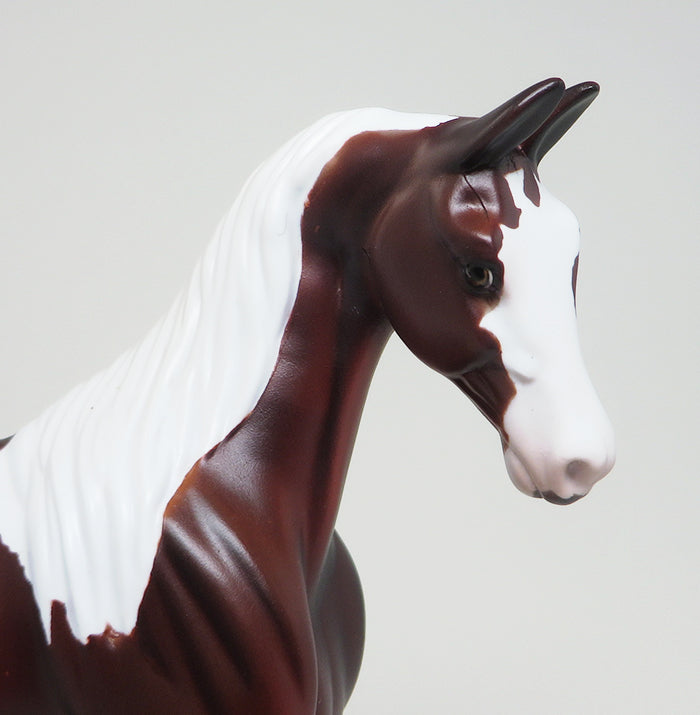 CHESTNUT PINTO SADDLEBRED