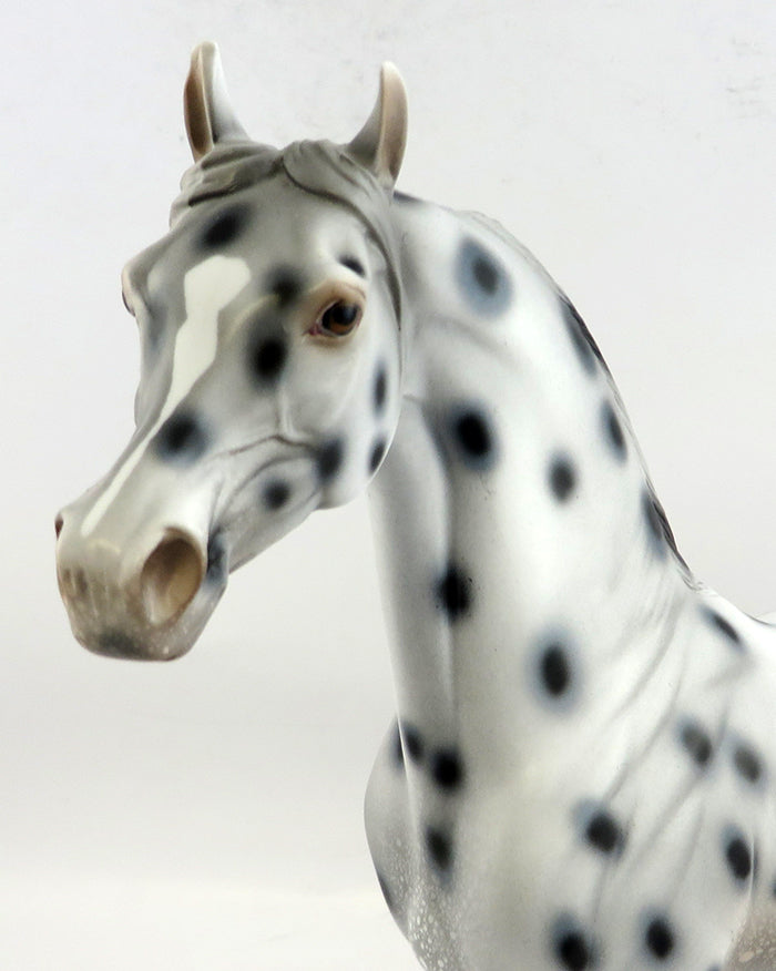 MONSOON-OOAK APPALOOSA ARABIAN MODEL HORSE 1/6/17