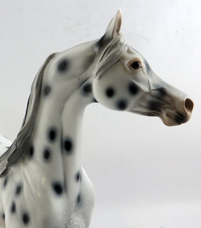 MONSOON-OOAK APPALOOSA ARABIAN MODEL HORSE 1/6/17