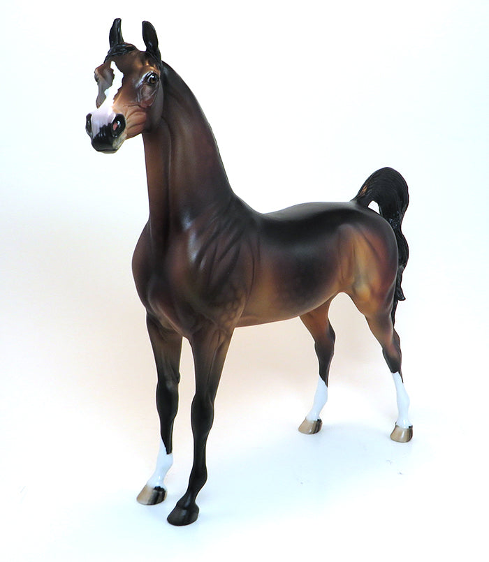 OOAK ARABIAN