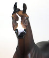 ARABIAN HORSE