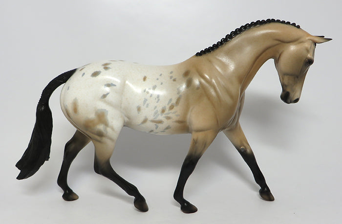 JAMES-OOAK BUCKSKIN APPALOOSA ENGLISH PONY MODEL HORSE 08/03/16