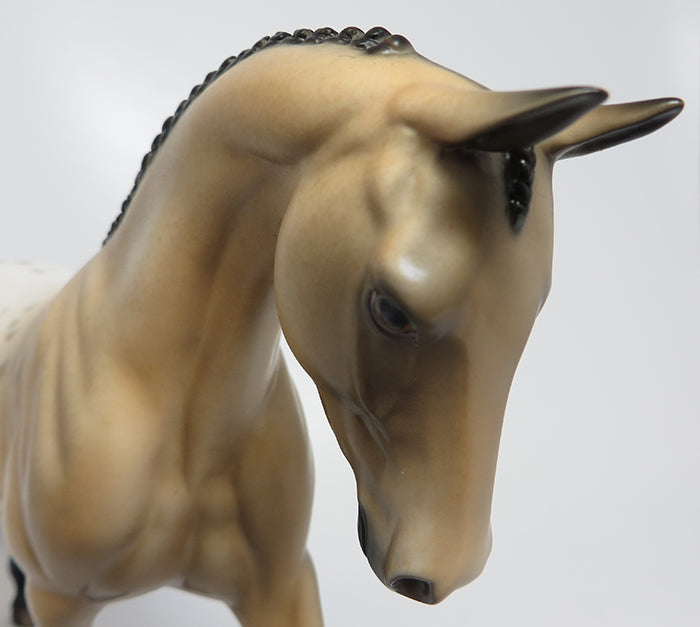 JAMES-OOAK BUCKSKIN APPALOOSA ENGLISH PONY MODEL HORSE 08/03/16