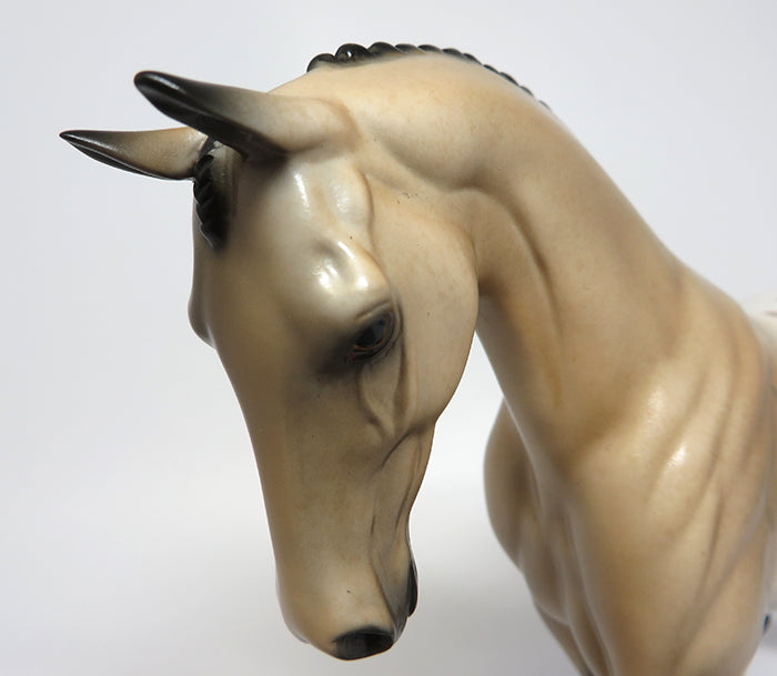 JAMES-OOAK BUCKSKIN APPALOOSA ENGLISH PONY MODEL HORSE 08/03/16