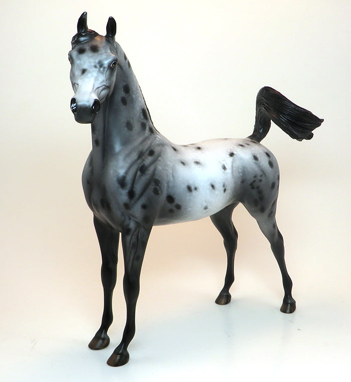 APPALOOSA