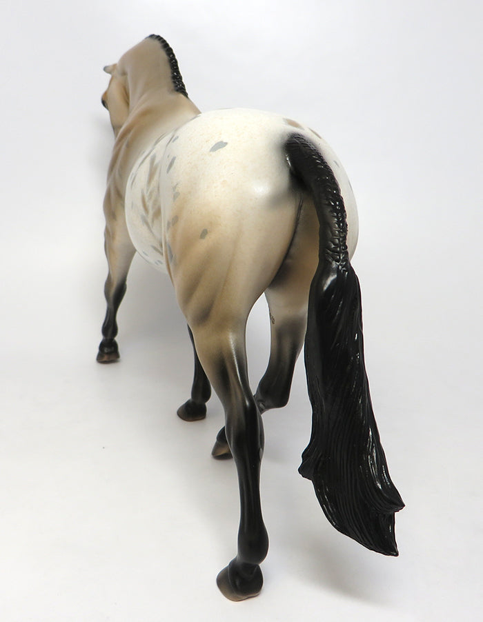 JAMES-OOAK BUCKSKIN APPALOOSA ENGLISH PONY MODEL HORSE 08/03/16