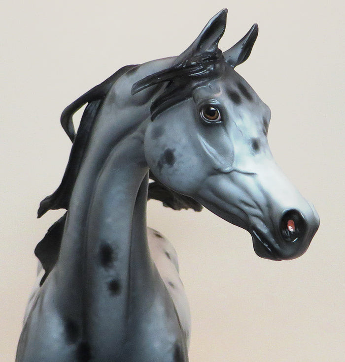 APPALOOSA HORSE MODEL
