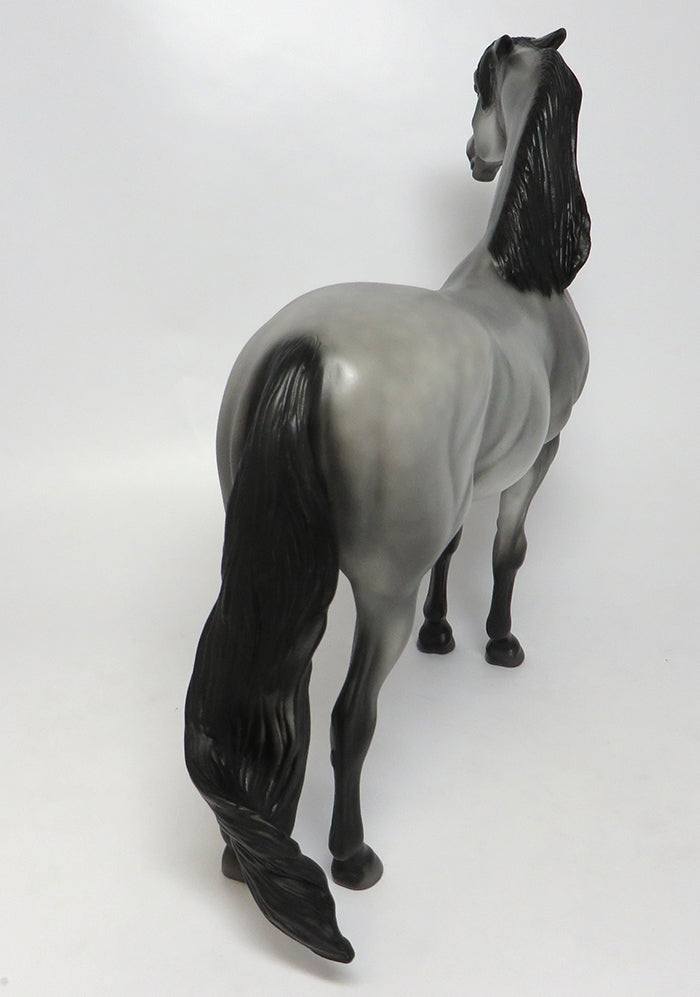 CARLE-OOAK DAPPLE GREY MORGAN MODEL HORSE 08/03/16