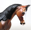 OOAK BAY ROAN